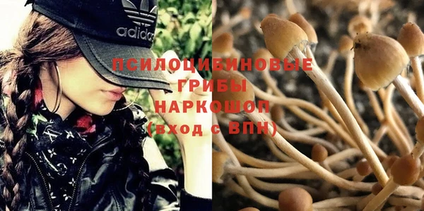 ECSTASY Балахна