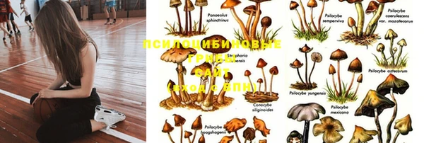 ECSTASY Балахна