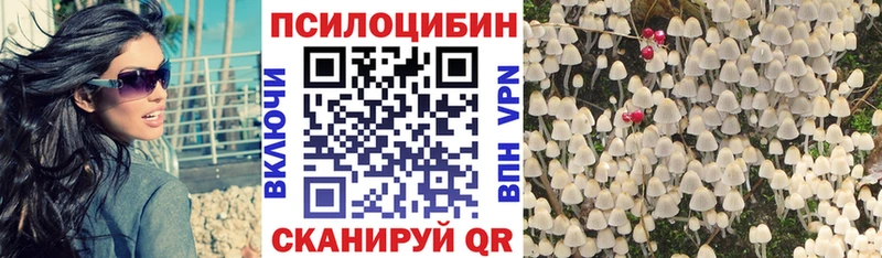 Галлюциногенные грибы MAGIC MUSHROOMS  Белая Холуница 